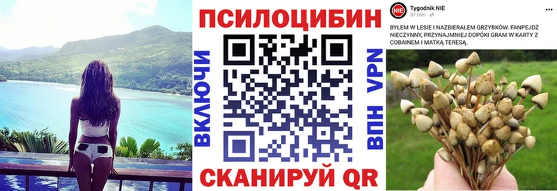 Галлюциногенные грибы Psilocybe Тулун